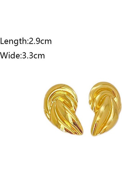 75ŞIK ve Hafif, Lüks Paslanmaz Çelik Kadın Küpeleri (Yurt Dışından) fiyatları