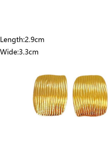 9şık ve Hafif, Lüks Paslanmaz Çelik Kadın Küpeleri (Yurt Dışından) fiyatları