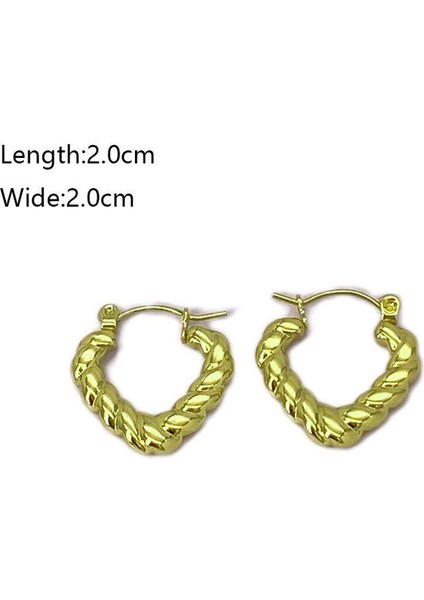 14 Fransız Vintage Paslanmaz Çelik Kadın Küpe Modeli (Yurt Dışından) fiyatları