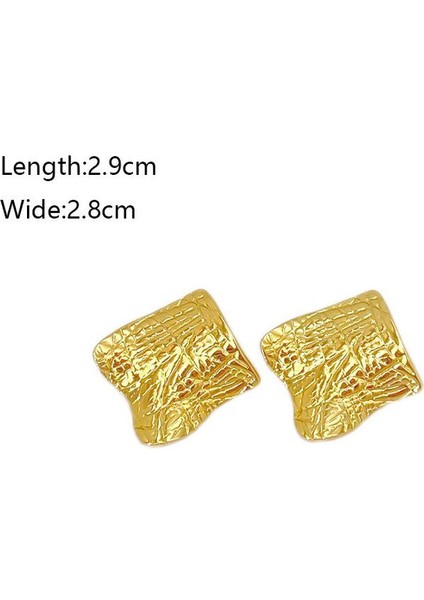 57ŞIK ve Hafif, Lüks Paslanmaz Çelik Kadın Küpeleri (Yurt Dışından) fiyatları