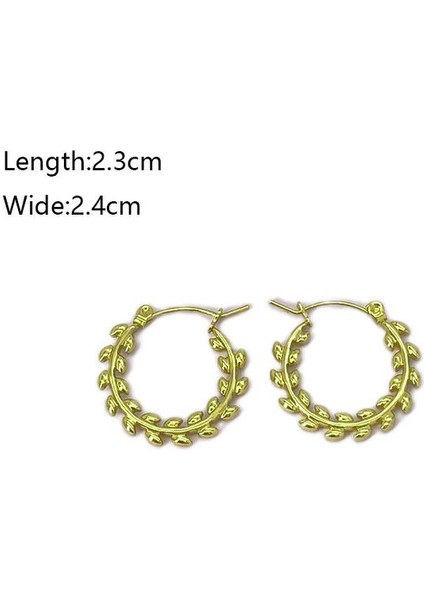 39 Fransız Vintage Paslanmaz Çelik Kadın Küpe Modeli (Yurt Dışından) fiyatları