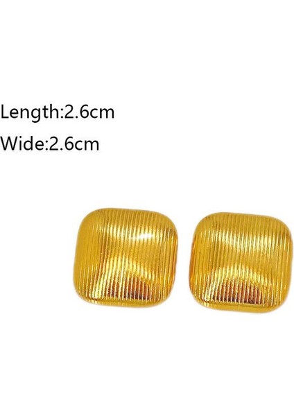 8şık ve Hafif, Lüks Paslanmaz Çelik Kadın Küpeleri (Yurt Dışından) fiyatları