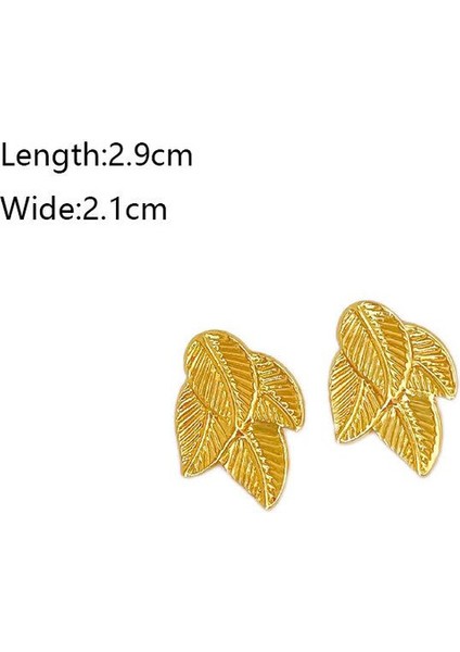 26ŞIK ve Hafif, Lüks Paslanmaz Çelik Kadın Küpeleri (Yurt Dışından) fiyatları