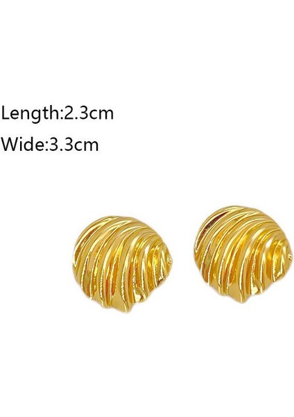 37ŞIK ve Hafif, Lüks Paslanmaz Çelik Kadın Küpeleri (Yurt Dışından) fiyatları