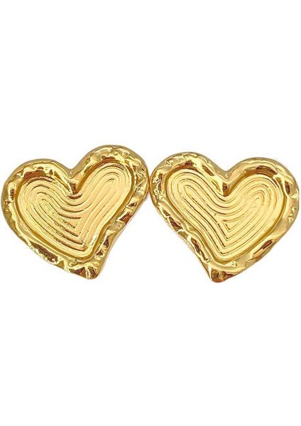 54ŞIK ve Hafif, Lüks Paslanmaz Çelik Kadın Küpeleri (Yurt Dışından)