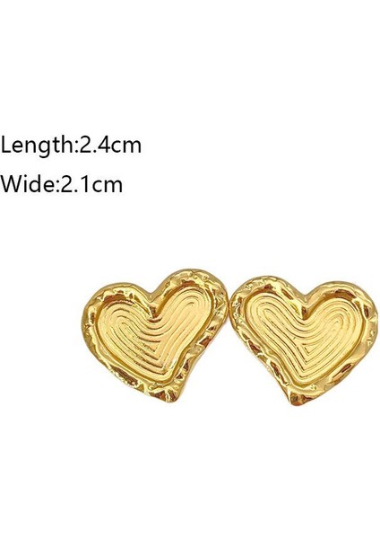 54ŞIK ve Hafif, Lüks Paslanmaz Çelik Kadın Küpeleri (Yurt Dışından) fiyatları