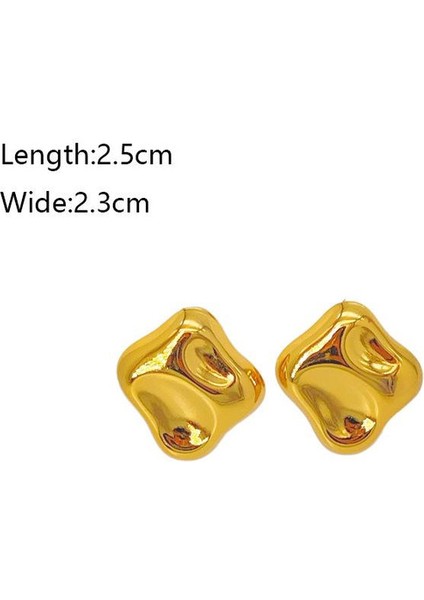 66ŞIK ve Hafif, Lüks Paslanmaz Çelik Kadın Küpeleri (Yurt Dışından) fiyatları