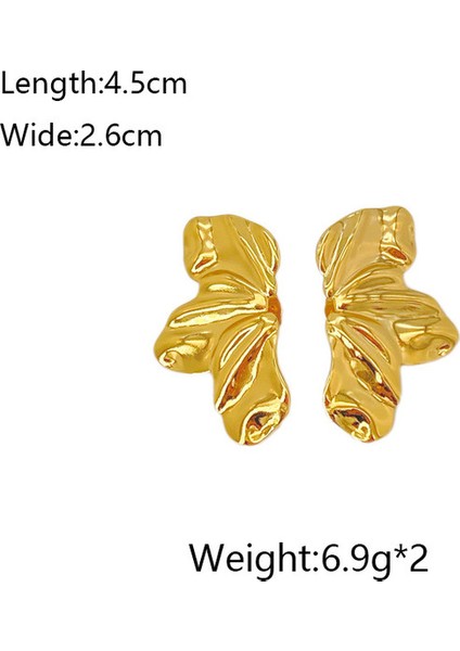 44ŞIK ve Hafif, Lüks Paslanmaz Çelik Kadın Küpeleri (Yurt Dışından) fiyatları