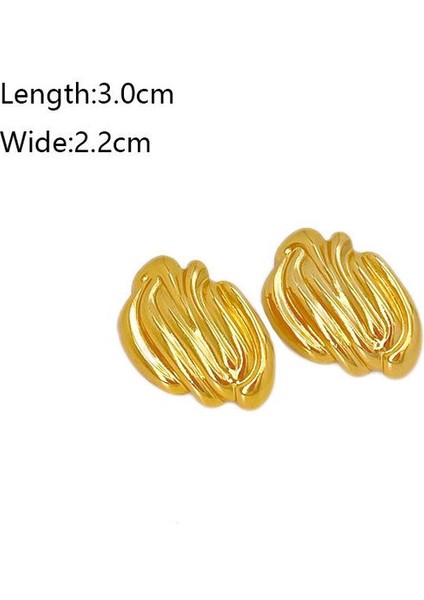 27ŞIK ve Hafif, Lüks Paslanmaz Çelik Kadın Küpeleri (Yurt Dışından) fiyatları