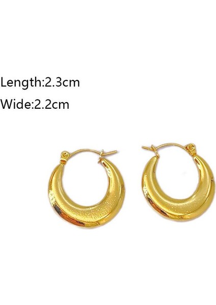 53 Fransız Vintage Paslanmaz Çelik Kadın Küpe Modeli (Yurt Dışından) fiyatları