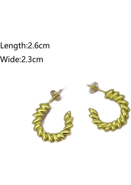 24 Fransız Vintage Paslanmaz Çelik Kadın Küpe Modeli (Yurt Dışından) fiyatları