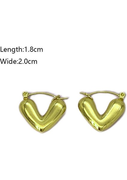 13 Fransız Vintage Paslanmaz Çelik Kadın Küpe Modeli (Yurt Dışından) fiyatları