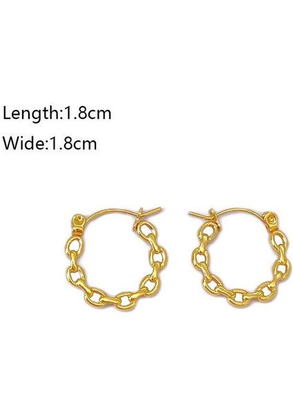 49 Fransız Vintage Paslanmaz Çelik Kadın Küpe Modeli (Yurt Dışından) fiyatları