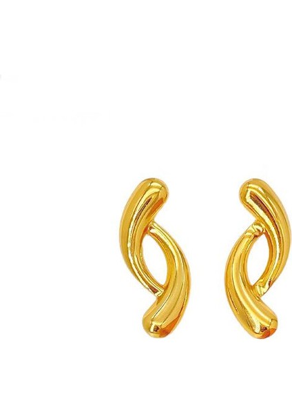 21ŞIK ve Hafif, Lüks Paslanmaz Çelik Kadın Küpeleri (Yurt Dışından)