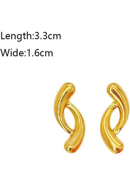 21ŞIK ve Hafif, Lüks Paslanmaz Çelik Kadın Küpeleri (Yurt Dışından) fiyatları