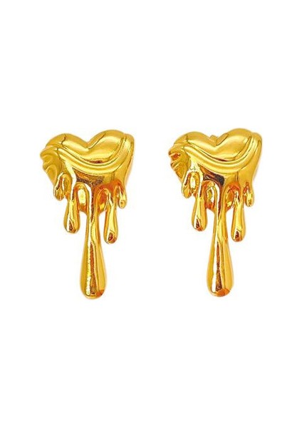 13ŞIK ve Hafif, Lüks Paslanmaz Çelik Kadın Küpeleri (Yurt Dışından)