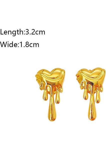 13ŞIK ve Hafif, Lüks Paslanmaz Çelik Kadın Küpeleri (Yurt Dışından) fiyatları