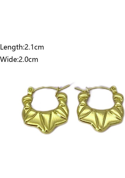 01 Fransız Vintage Paslanmaz Çelik Kadın Küpe Modeli (Yurt Dışından) fiyatları