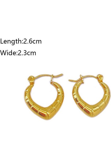 60 Fransız Vintage Paslanmaz Çelik Kadın Küpe Modeli (Yurt Dışından) fiyatları