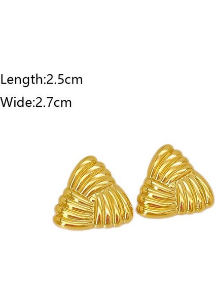 23ŞIK ve Hafif, Lüks Paslanmaz Çelik Kadın Küpeleri (Yurt Dışından) fiyatları