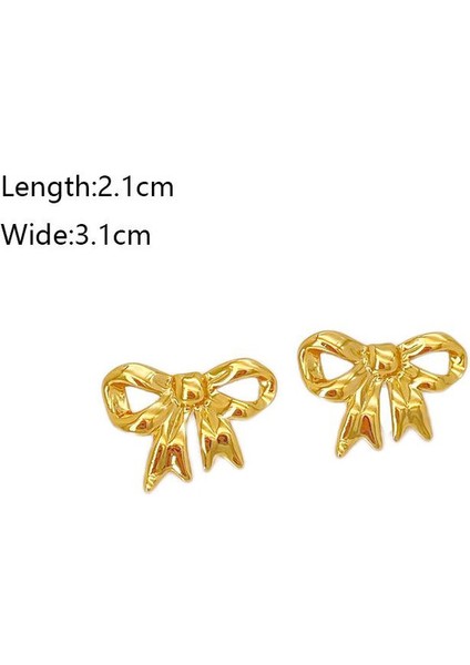 36ŞIK ve Hafif, Lüks Paslanmaz Çelik Kadın Küpeleri (Yurt Dışından) fiyatları