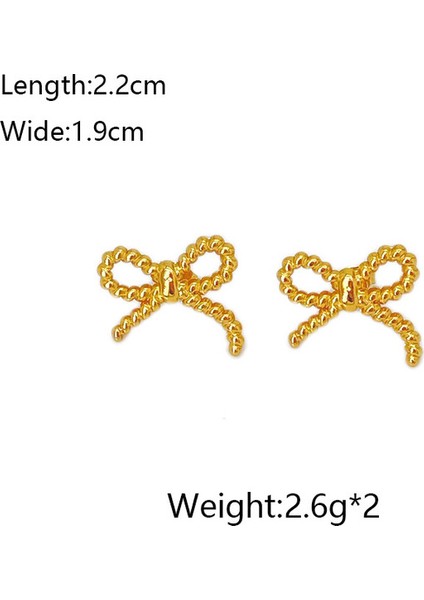 17ŞIK ve Hafif, Lüks Paslanmaz Çelik Kadın Küpeleri (Yurt Dışından) fiyatları