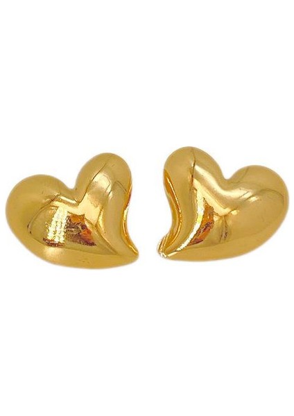 50ŞIK ve Hafif, Lüks Paslanmaz Çelik Kadın Küpeleri (Yurt Dışından)