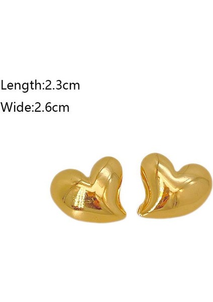 50ŞIK ve Hafif, Lüks Paslanmaz Çelik Kadın Küpeleri (Yurt Dışından) fiyatları