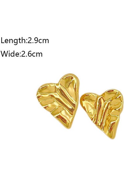 56ŞIK ve Hafif, Lüks Paslanmaz Çelik Kadın Küpeleri (Yurt Dışından) fiyatları