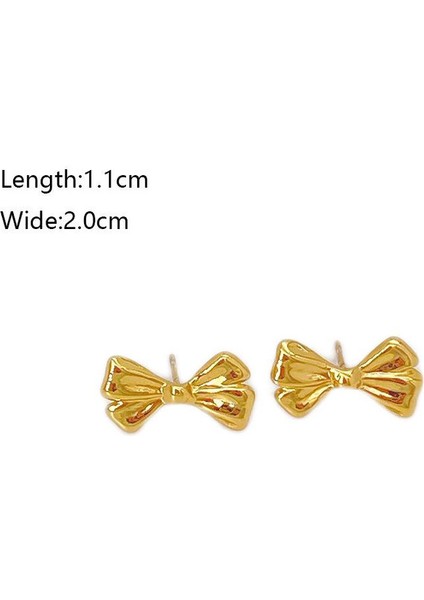 31ŞIK ve Hafif, Lüks Paslanmaz Çelik Kadın Küpeleri (Yurt Dışından) fiyatları