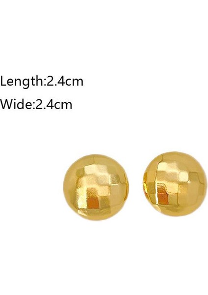 25ŞIK ve Hafif, Lüks Paslanmaz Çelik Kadın Küpeleri (Yurt Dışından) fiyatları