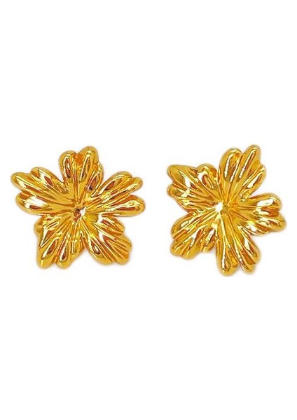 19ŞIK ve Hafif, Lüks Paslanmaz Çelik Kadın Küpeleri (Yurt Dışından)