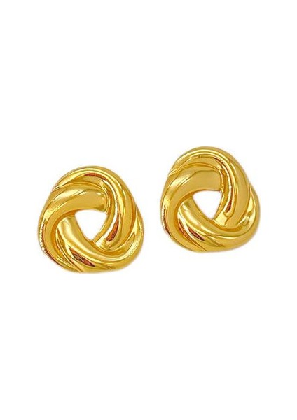 73ŞIK ve Hafif, Lüks Paslanmaz Çelik Kadın Küpeleri (Yurt Dışından)