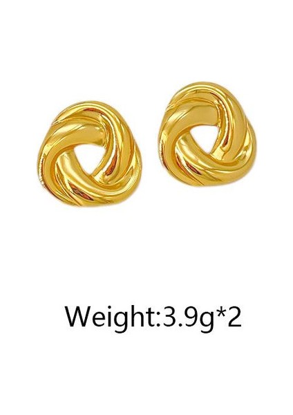 73ŞIK ve Hafif, Lüks Paslanmaz Çelik Kadın Küpeleri (Yurt Dışından) fiyatları