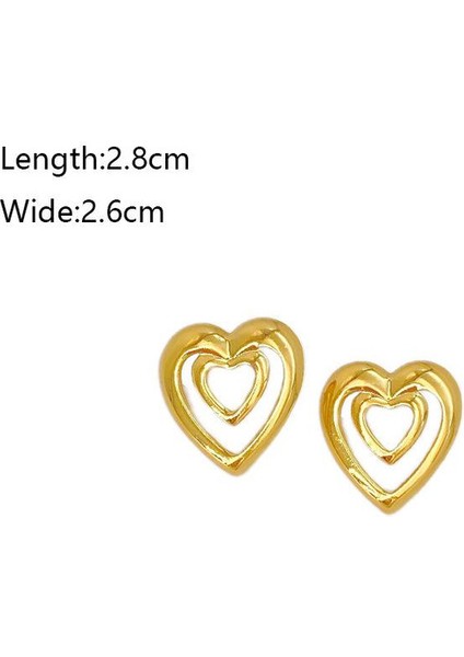 35ŞIK ve Hafif, Lüks Paslanmaz Çelik Kadın Küpeleri (Yurt Dışından) fiyatları