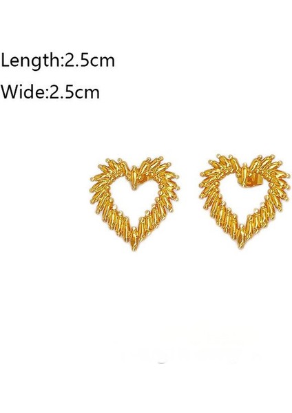 15ŞIK ve Hafif, Lüks Paslanmaz Çelik Kadın Küpeleri (Yurt Dışından) fiyatları