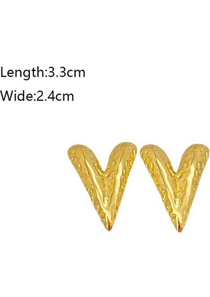 59ŞIK ve Hafif, Lüks Paslanmaz Çelik Kadın Küpeleri (Yurt Dışından) fiyatları