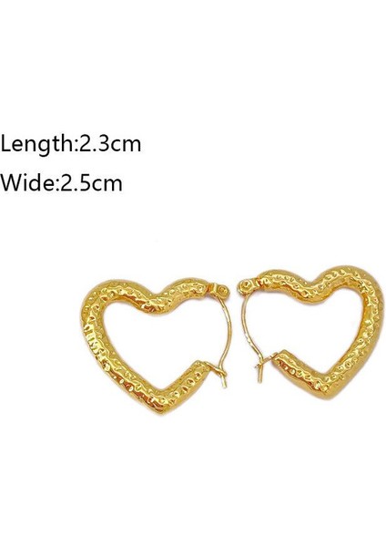 51 Fransız Vintage Paslanmaz Çelik Kadın Küpe Modeli (Yurt Dışından) fiyatları