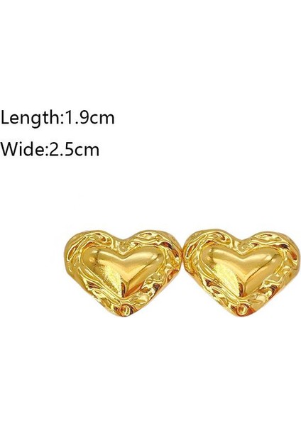 83ŞIK ve Hafif, Lüks Paslanmaz Çelik Kadın Küpeleri (Yurt Dışından) fiyatları