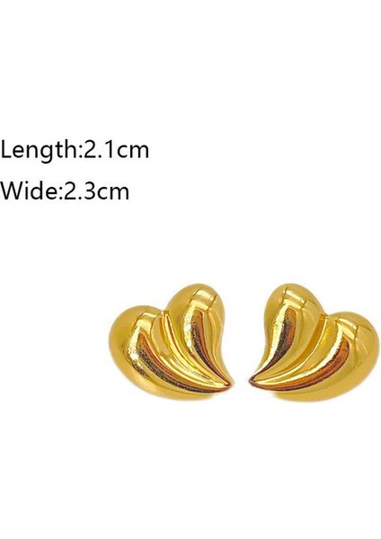 43ŞIK ve Hafif, Lüks Paslanmaz Çelik Kadın Küpeleri (Yurt Dışından) fiyatları