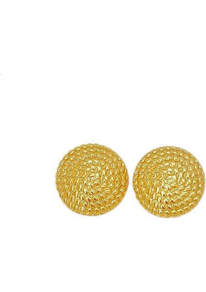 53ŞIK ve Hafif, Lüks Paslanmaz Çelik Kadın Küpeleri (Yurt Dışından)