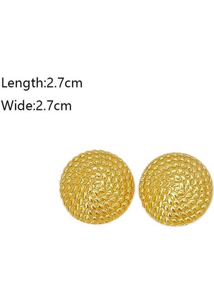 53ŞIK ve Hafif, Lüks Paslanmaz Çelik Kadın Küpeleri (Yurt Dışından) fiyatları