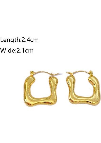 45 Fransız Vintage Paslanmaz Çelik Kadın Küpe Modeli (Yurt Dışından) fiyatları