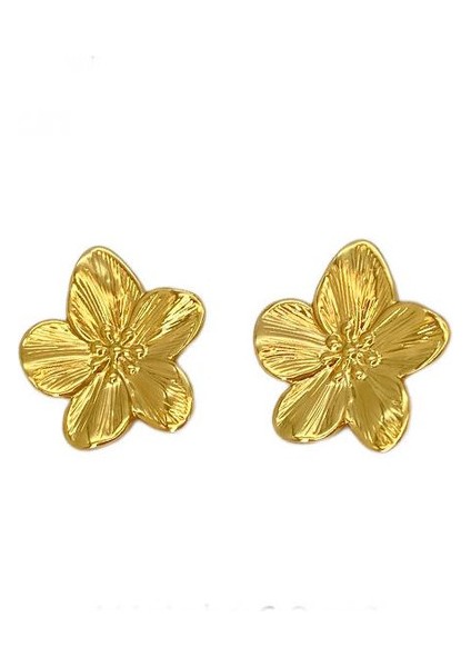 5şık ve Hafif, Lüks Paslanmaz Çelik Kadın Küpeleri (Yurt Dışından)