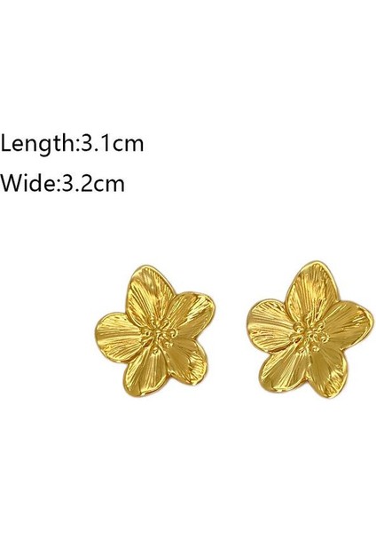 5şık ve Hafif, Lüks Paslanmaz Çelik Kadın Küpeleri (Yurt Dışından) fiyatları