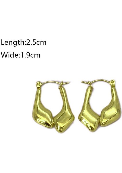 21 Fransız Vintage Paslanmaz Çelik Kadın Küpe Modeli (Yurt Dışından) fiyatları