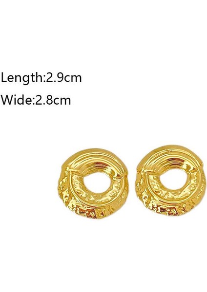 67ŞIK ve Hafif, Lüks Paslanmaz Çelik Kadın Küpeleri (Yurt Dışından) fiyatları