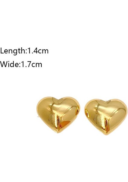 58ŞIK ve Hafif, Lüks Paslanmaz Çelik Kadın Küpeleri (Yurt Dışından) fiyatları