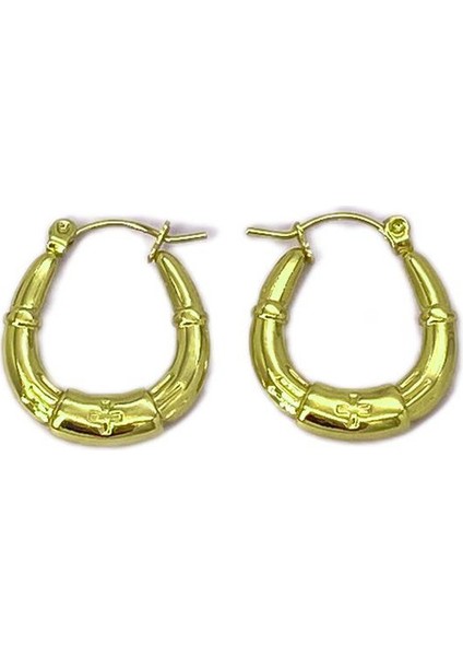 37 Fransız Vintage Paslanmaz Çelik Kadın Küpe Modeli (Yurt Dışından)