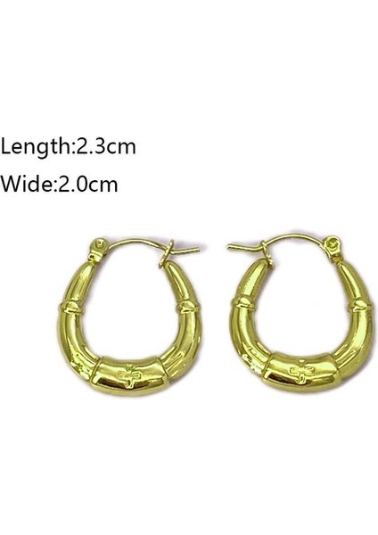 37 Fransız Vintage Paslanmaz Çelik Kadın Küpe Modeli (Yurt Dışından) fiyatları